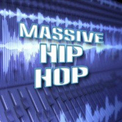 Hip Hop Artists United - Massive Hip Hop (2008)