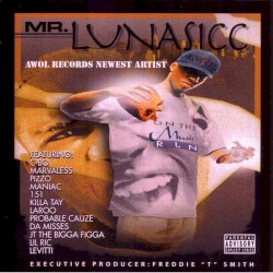 Lunasicc - Mr. Lunasicc (1997)