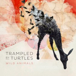 Trampled By Turtles - Wild Animals (2014)