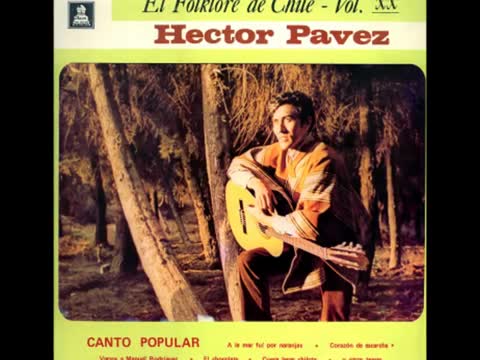 Hector Pavez